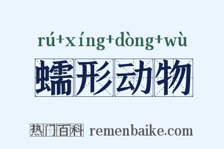 蠕形动物是什么意思的图片
